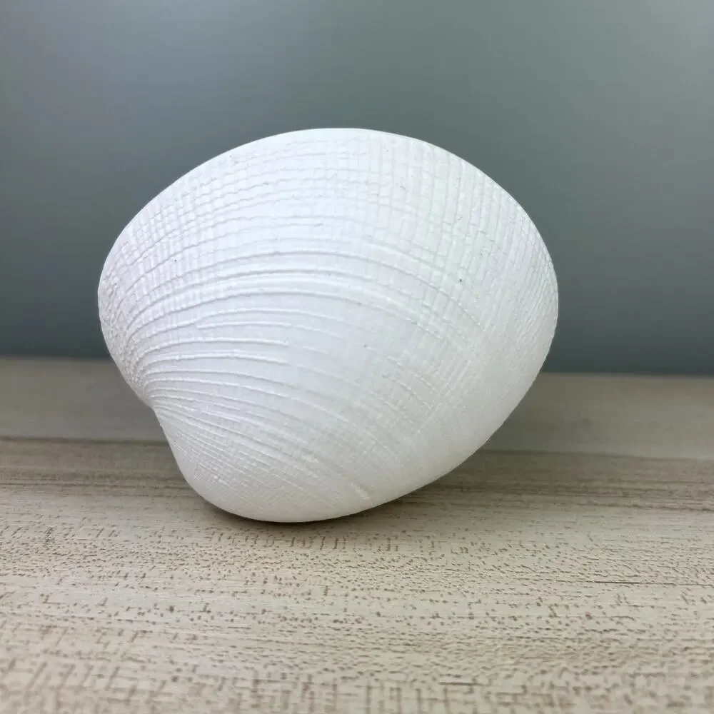 Ceramic Seashell Clam Shell Home Decor Vase Tray Beach Shore Vacation House Sea - Picture 5 of 9